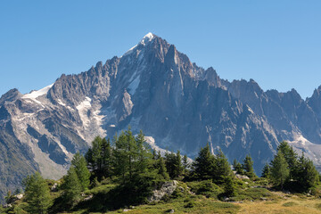 Obraz premium Majestic Sharp Peak of Aiguille Verte Framed by Alpine Trees in Chamonix, French Alps