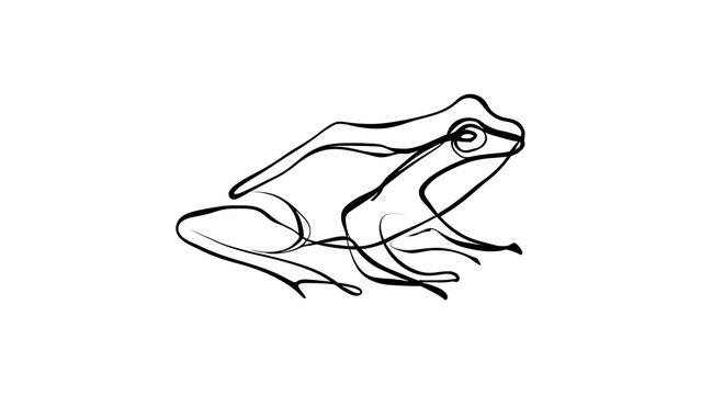 Minimalist frog illustration on white background.