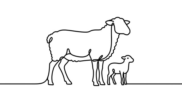 Mother and baby sheep illustration white background.