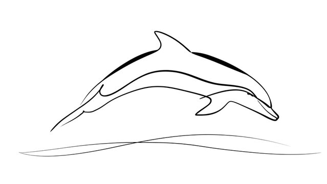 Minimalist dolphin line art illustration white background.