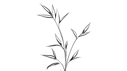 Fototapeta premium Elegant line art plant drawing white background.