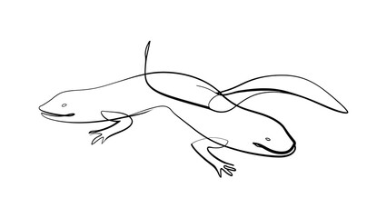 Fototapeta premium Minimalist line art salamander white background.