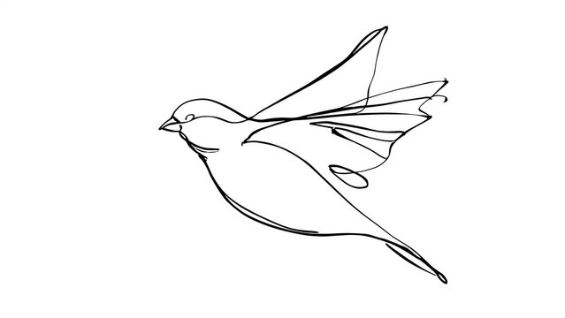Minimalist bird drawing on white background.