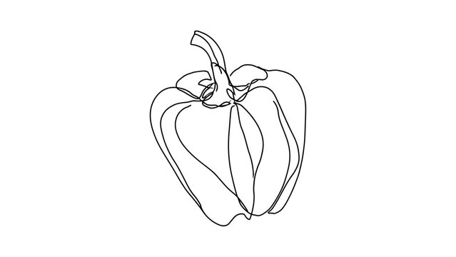Minimalist line art pepper drawing white background.
