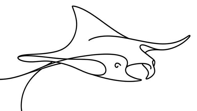 Minimalist manta ray line drawing white background.