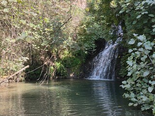 waterfall in the forest © Victor