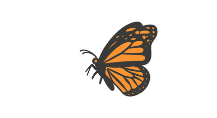 Monarch butterfly profile with orange and black wings © harr