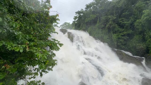 Athirappilly Waterfalls Niagara of India  Kerala largest waterfall. Flooding river in lush rainforests of the Western Ghats. Tropical  Athirapally Vazhachal  Charpa Falls, Indian