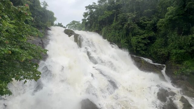 Athirappilly Waterfalls Niagara of India  Kerala largest waterfall. Flooding river in lush rainforests of the Western Ghats. Tropical  Athirapally Vazhachal  Charpa Falls, Indian