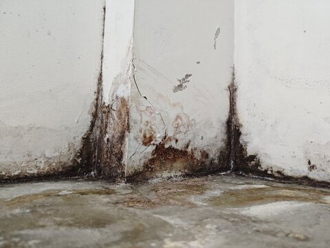 Close-up of damp and moldy wall corner with water damage, peeling paint, and cracked plaster, showing signs of humidity and poor maintenance indoors.