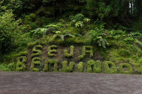 Moss-covered Seja Bem Vindo welcome sign embedded into a lush green hillside, inviting visitors to the natural beauty of Lagoa das Empadadas, Azores