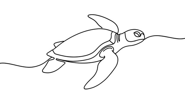 Minimalist sea turtle line art white background.