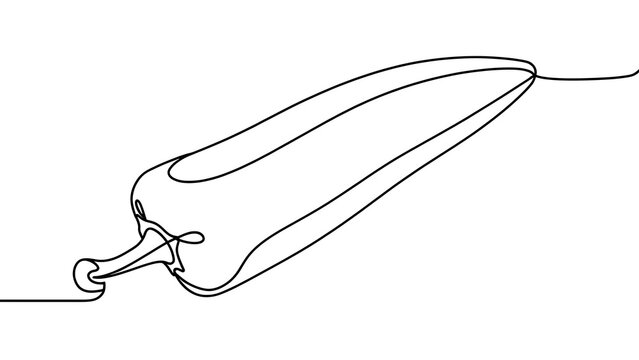 Minimalist line art chili pepper white background.