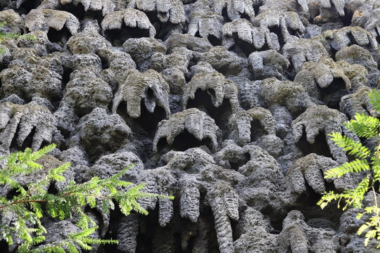 Close-up of a decorative artificial rock wall featuring repeating leaf-like formations, rough stone textures and green foliage in natural daylight.