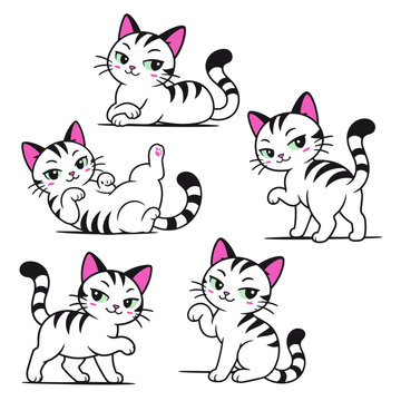 Cute white tabby kitten character set with five playful poses, adorable cartoon cat vector collection isolated on white background