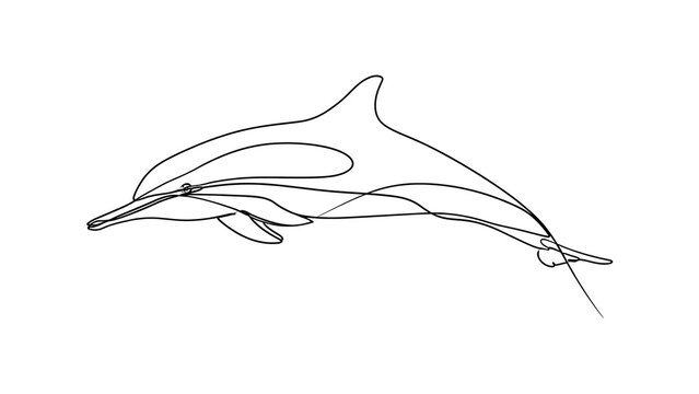 Minimalist dolphin line art drawing white background.