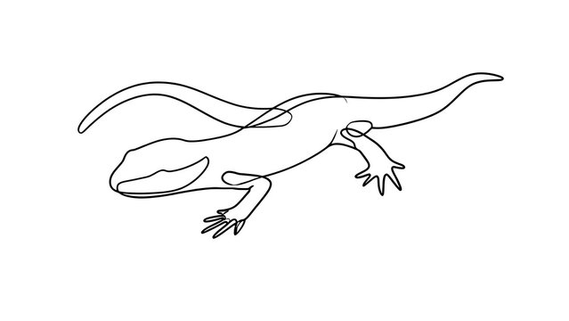Minimalist lizard line art illustration white background.
