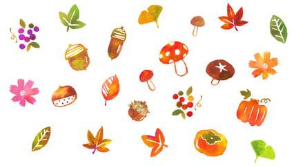秋の味覚と植物の可愛い手描き水彩イラストセット（どんぐり・紅葉・秋・背景透過） Cute autumn harvest and plants hand-drawn watercolor illustration set (acorn, autumn leaves, transparent PNG) © lily