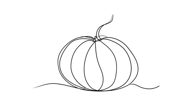 Minimalist pumpkin line art drawing white background.