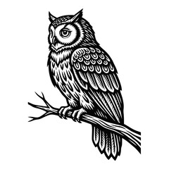 Obraz premium Engraved owl illustration on a branch. Vintage style bird drawing for nature design.
