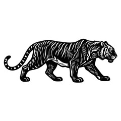 Obraz premium Walking tiger illustration. Black and white vector wild cat in vintage engraving style.