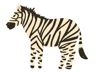 Zebra illustration design isolated on transparent background © baasith88