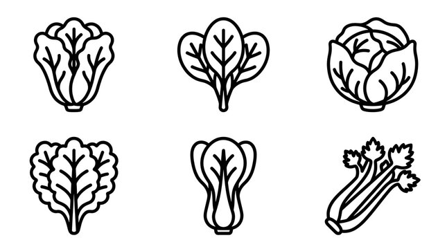 Leafy Green Vegetable Line Icon Set for Healthy Food Design