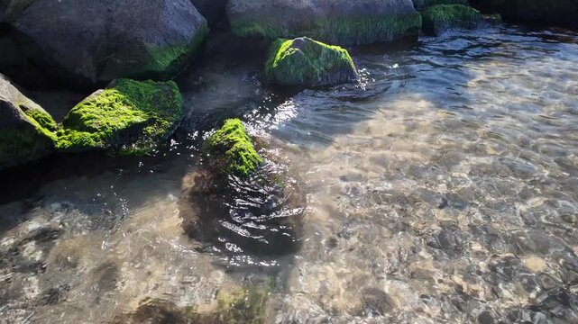 View of transparent coastal sea water with bright sun reflections and caustics over submerged rocks. Mossy boulder breakwater at the shoreline under a bright sky. Natural marine environment.