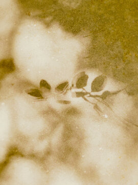 shadow texture with soft focus