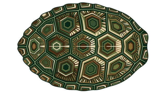 Stylized Geometric Turtle Shell Illustration Isolated