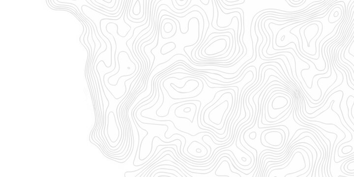 Abstract topography pattern seamless lines sea map modern design white background. Abstract digital topographic contour map concept space geometric strip grid line. Natural discovery of maps.