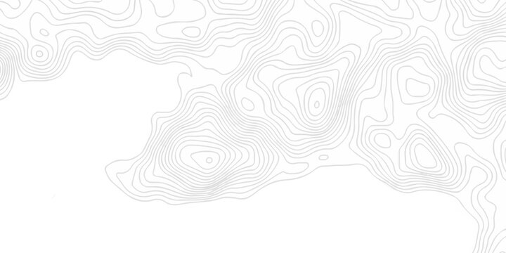 Abstract topography pattern seamless lines sea map modern design white background. Abstract digital topographic contour map concept space geometric strip grid line. Natural discovery of maps.