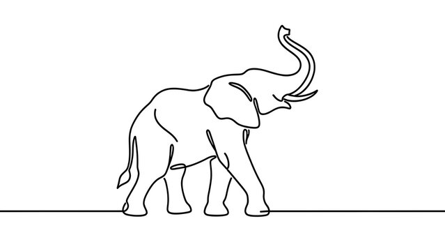 Minimalist elephant line art on white background.