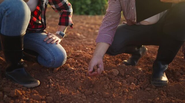 Male and female agricultural specialist examin soil by hand, field inspection while review farm records. Soil assessment, sustainable agriculture, crop planning,responsible land management concept