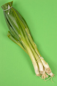 Top view of a fresh bunch of green scallions with white bulbs tied with string and placed on a solid green background