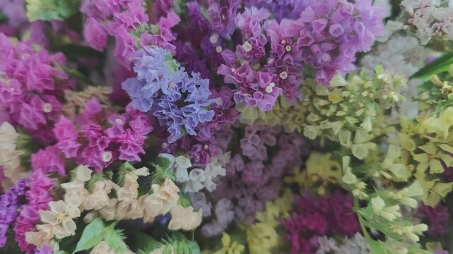Macro shot of a beautiful bouquet of colorful statice flowers, also known as sea lavender, slowly rotating. Elegant floral composition
