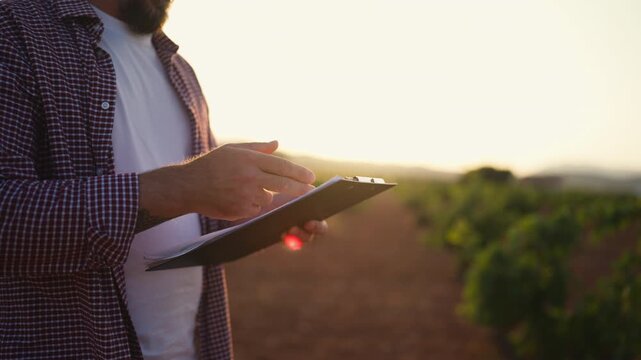 Agronomist reviewing field records while inspecting crop conditions during a routine agricultural survey. Crop inspection, sustainable farming, farm management and agricultural productivity concept