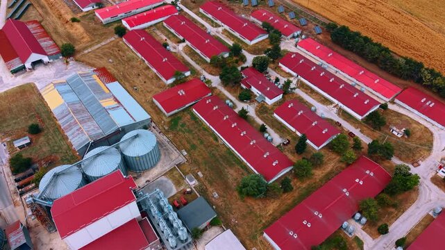 Aerial perspective of red roofed farm buildings and silos. Metal storage silos stand near rows of long agricultural barns on grassy rural ground.