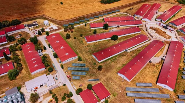 Aerial top view of radial agricultural farm layout. Long buildings with red roofs extend outward from a central point surrounded by fields.