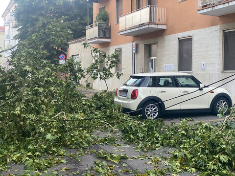 Street in Cremona, Italy, covered in fallen tree branches and leaves after a storm with a parked white Mini Cooper