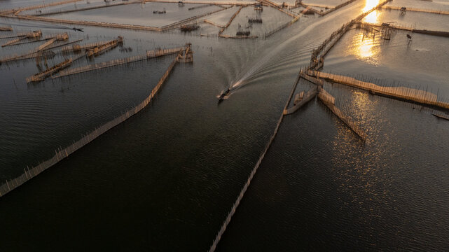Morning Return of Fishermen at Chuon Lagoon Traditional Fish Trap System, Hue, Vietnam
