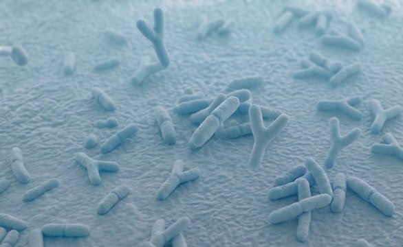 3D Microscopic Illustration of Bifidobacterium and Rod-Shaped Bacilli Bacteria Colony in Gut Microbiome