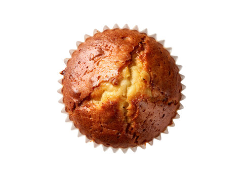 Freshly baked muffin with crumbly top and paper liner visible transparent background