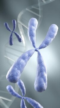 3D animation of a damaged chromosome being repaired and revitalized by glowing golden particles. Concept for luxury anti-aging skincare, cellular renewal, and DNA rejuvenation.