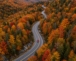 Naklejka premium Aerial view of a winding road through vibrant autumn forest with colorful fall foliage. Scenic drive, seasonal landscape, road trip adventure, and breathtaking natural beauty.