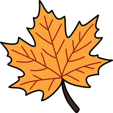 Single bright yellow autumn maple leaf representing fall foliage