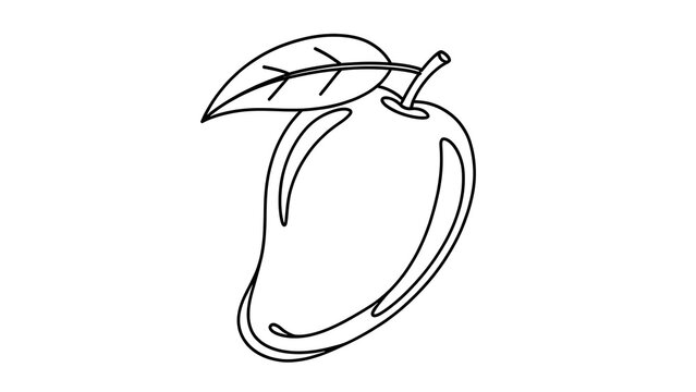 Simple mango line drawing on white background.