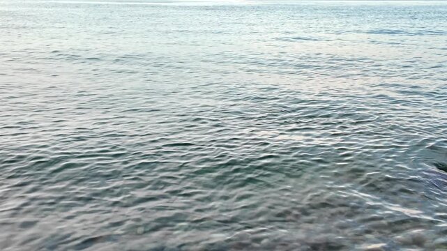Small solitary grebe swims across calm rippling sea water leaving gentle wake trail behind.