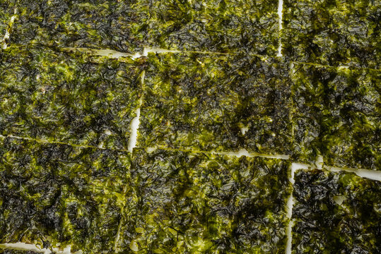 Tasty nori seaweed isolated on white.