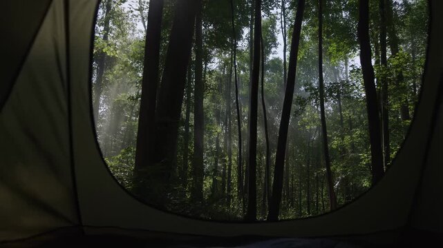 View from inside a cozy camping tent. Looking out at a scenic forest landscape.